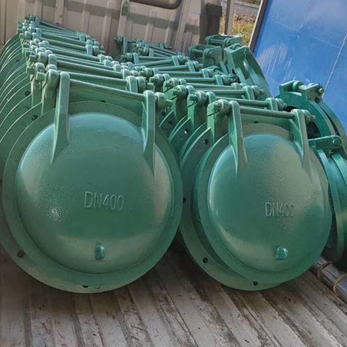 玻璃鋼拍門(mén)插圖